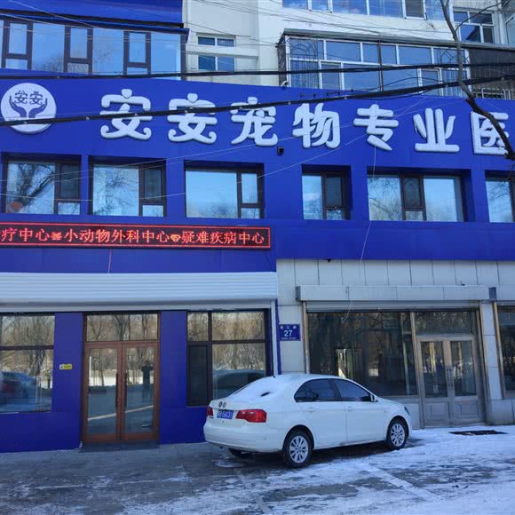 安安宠物专业中心医院:齐齐哈尔市龙沙区合意路附近