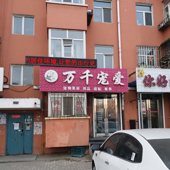 万千宠爱:齐齐哈尔市龙沙区民航路附近