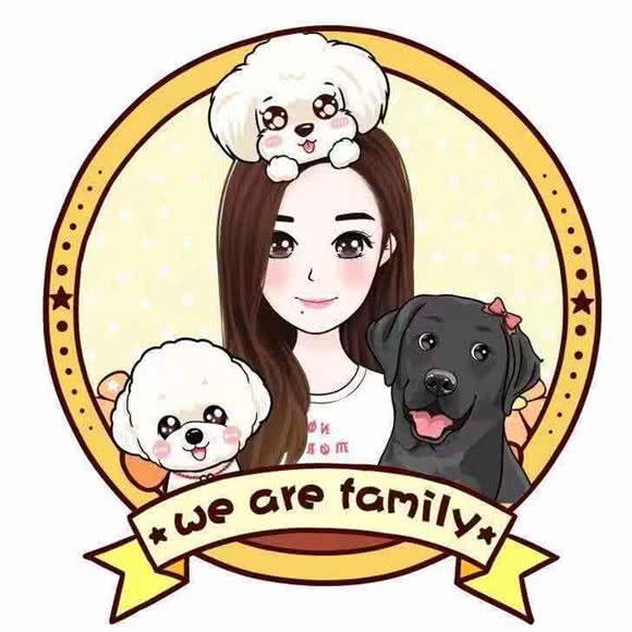 宠闹宠物生活会馆:齐齐哈尔市龙沙区民航路附近