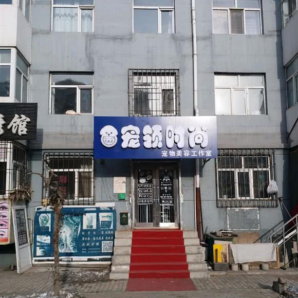 宠领时尚宠物美容工作室:齐齐哈尔市龙沙区民航路附近