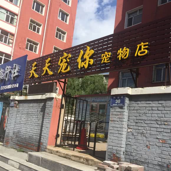 天天宠你宠物店:齐齐哈尔市龙沙区民意路附近