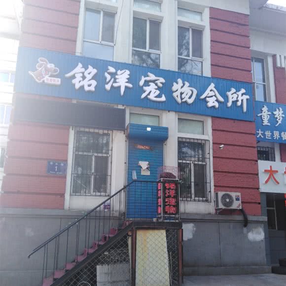 铭洋宠物会所:齐齐哈尔市龙沙区民意路附近