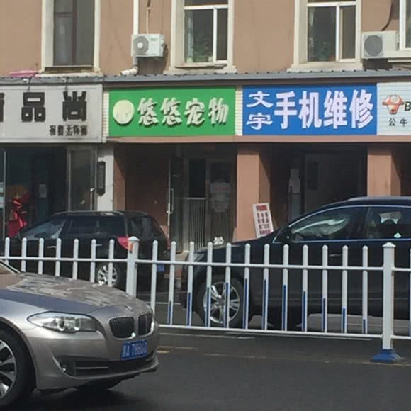 悠悠狗狗:齐齐哈尔市龙沙区民意路附近