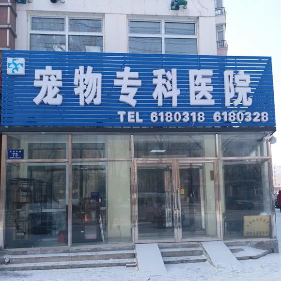 齐齐哈尔动物医院(龙沙店):齐齐哈尔市龙沙区工建路附近