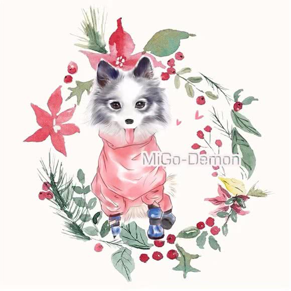 MiGo宠物生活馆:齐齐哈尔市建华区万达广场附近