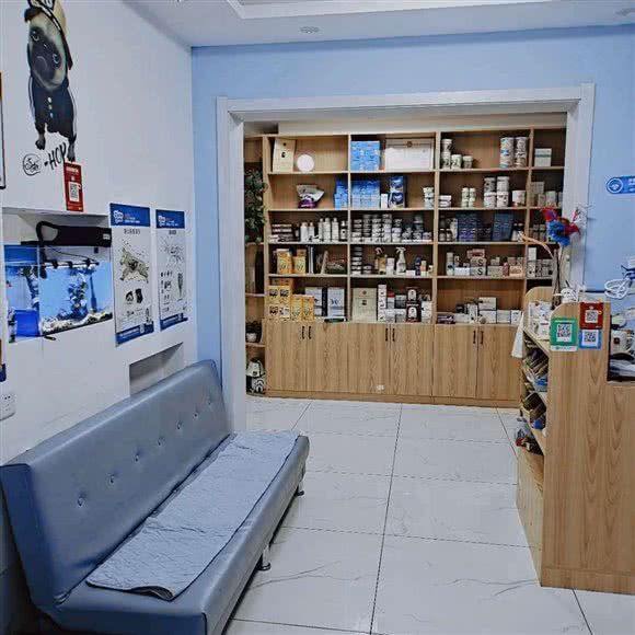 齐淼宠物诊疗:齐齐哈尔市建华区齐齐哈尔大学西区附近