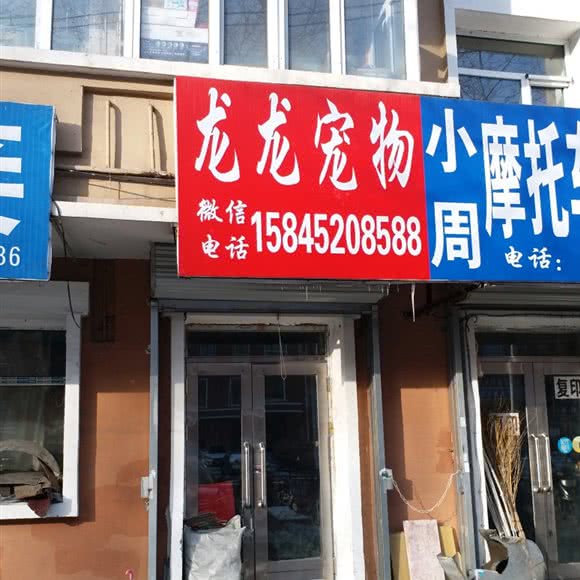 龙龙宠物(三中店):齐齐哈尔市建华区三中附近