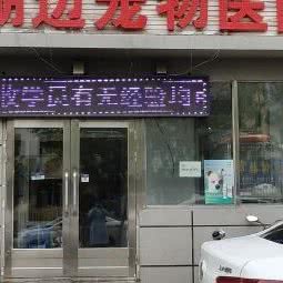 湖上宠物医院:齐齐哈尔市建华区三中附近