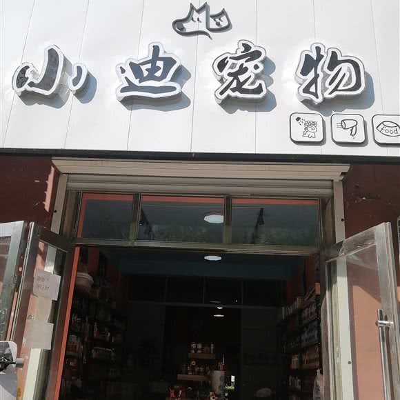 小迪宠物:齐齐哈尔市富拉尔基区富拉尔基区附近