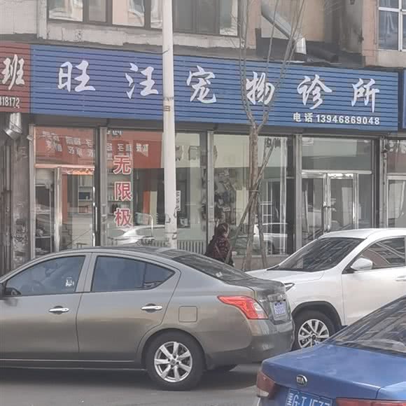 旺汪宠物诊听:鸡西市鸡冠区老大商附近