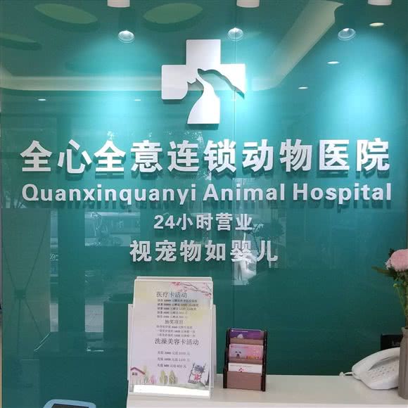 全心全意连锁动物医院犬兔专科24小时:北京城区丰台区夏家胡同/纪家庙附近