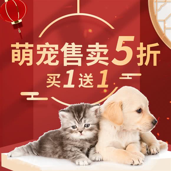 淘猴子无忧:北京城区丰台区石榴庄附近