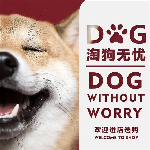 淘狗无忧猫舍狗舍(直营店):北京城区丰台区石榴庄附近