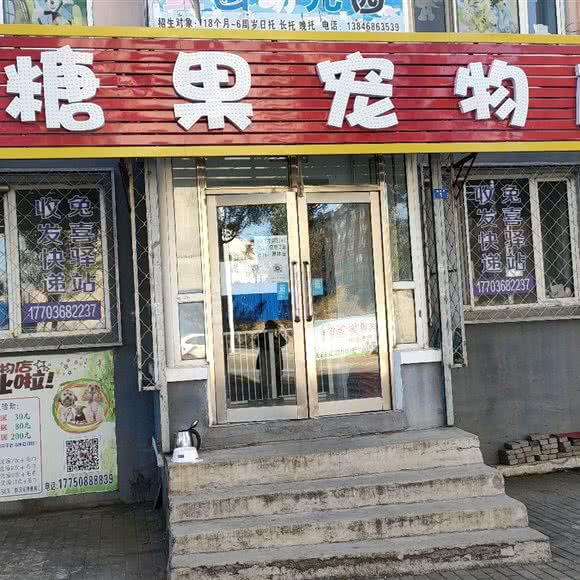 糖果宠物店:鹤岗市工农区党校附近