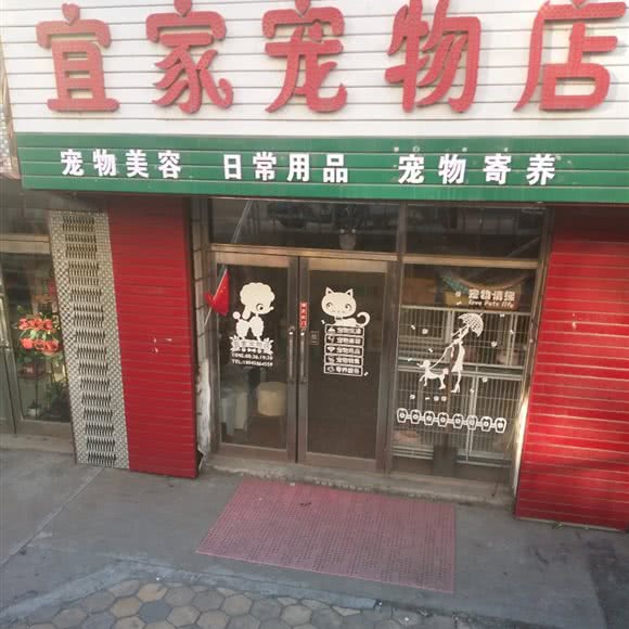 宜家咖啡店:双鸭山市尖山区尖山区中心城区附近