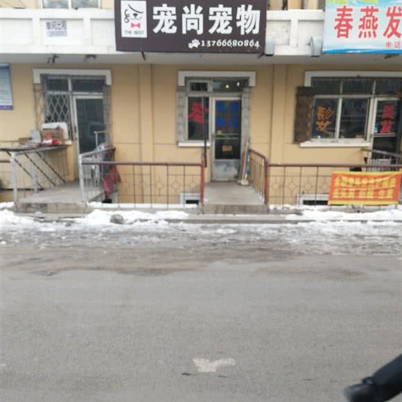 宠尚宠物:双鸭山市尖山区尖山区中心城区附近