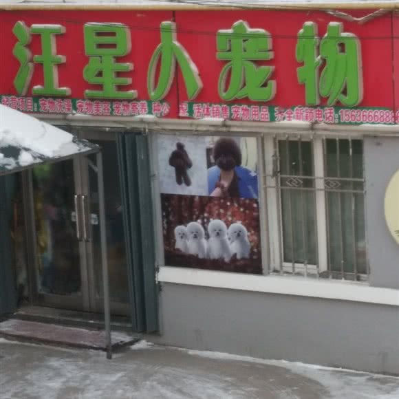 汪星小宠物:双鸭山市尖山区尖山区中心城区附近