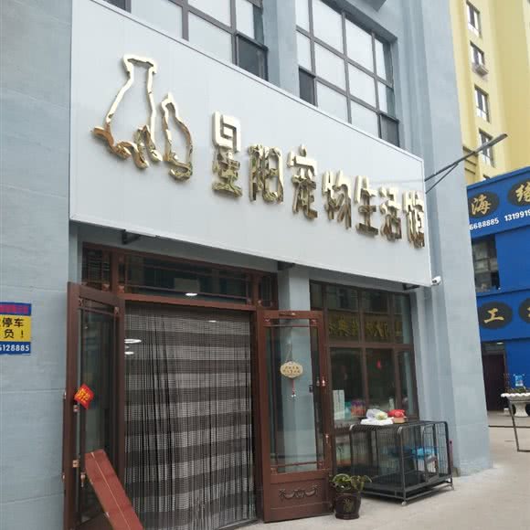 星阳宠物生活馆:双鸭山市尖山区尖山区中心城区附近