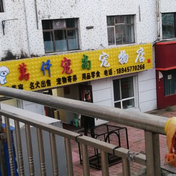 万仟宠尚宠物店:双鸭山市尖山区尖山区中心城区附近