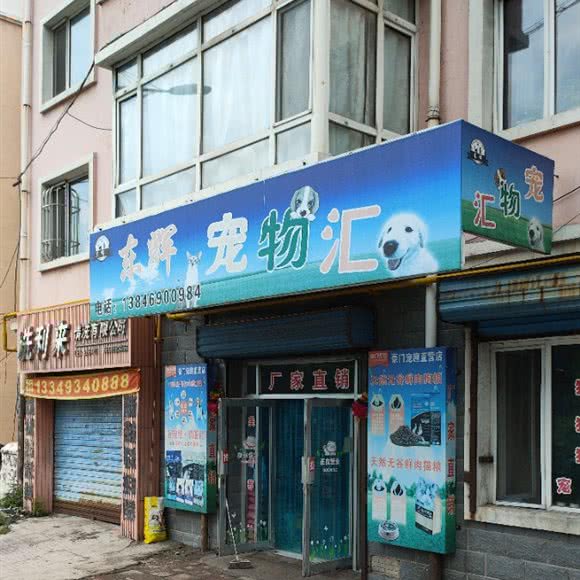 东辉宠物汇:双鸭山市尖山区尖山区中心城区附近