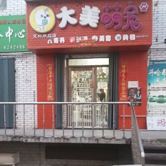 大美萌宠宠物用品店:双鸭山市尖山区尖山区中心城区附近