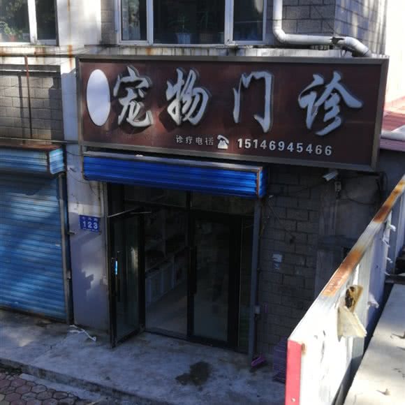 爱心宠物门诊:双鸭山市尖山区尖山区中心城区附近