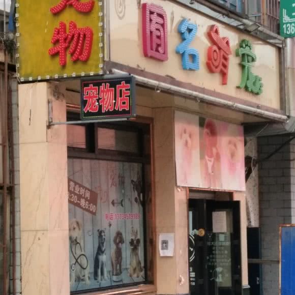 囿名萌宠:双鸭山市尖山区双鸭山市政府附近