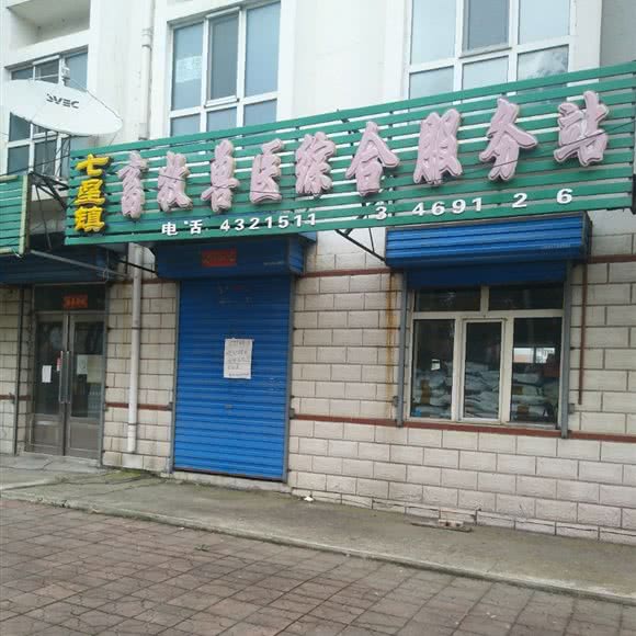 七星镇畜牧兽医综合服务站:双鸭山市宝山区双鸭山宝山客运站附近