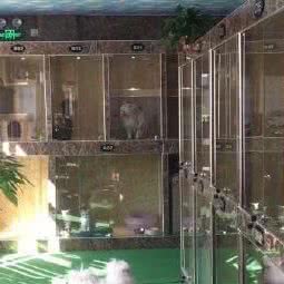 淘气有约宠物中心:北京城区丰台区南苑/德茂桥附近