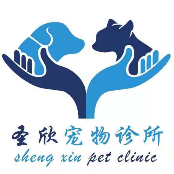 圣欣宠物诊所:大庆市萨尔图区东方玫瑰园附近