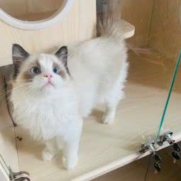 Mickey·米奇喵:北京城区丰台区南苑/德茂桥附近