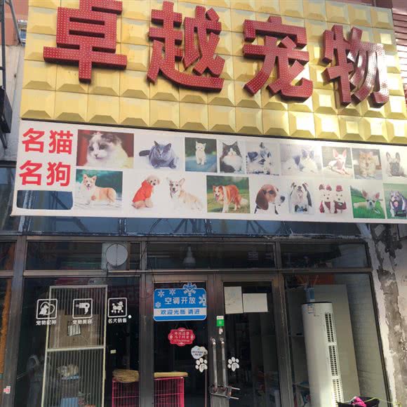 卓越宠物(义耕时代广场步行街店):大庆市萨尔图区沃尔玛附近