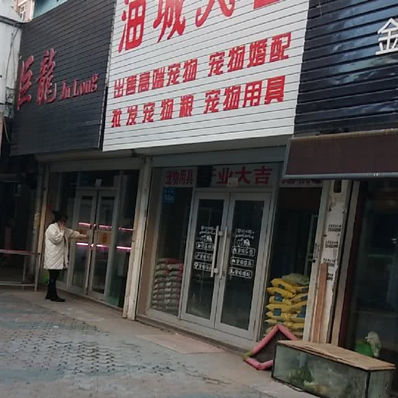 油城猫舍:大庆市萨尔图区沃尔玛附近