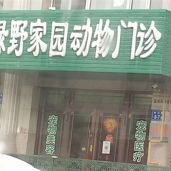 绿野家园动物门诊:大庆市萨尔图区沃尔玛附近
