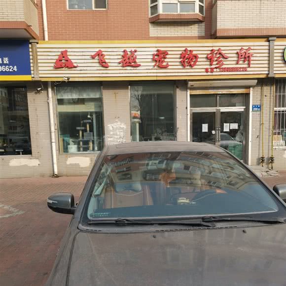 飞越宠物诊所:大庆市龙凤区黎明湖附近