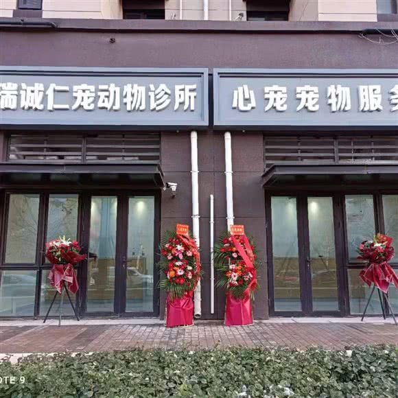 瑞诚仁宠动物医院:北京城区丰台区南苑/德茂桥附近