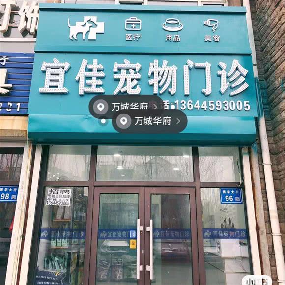 宜佳宠物门诊:大庆市龙凤区联想科技城附近