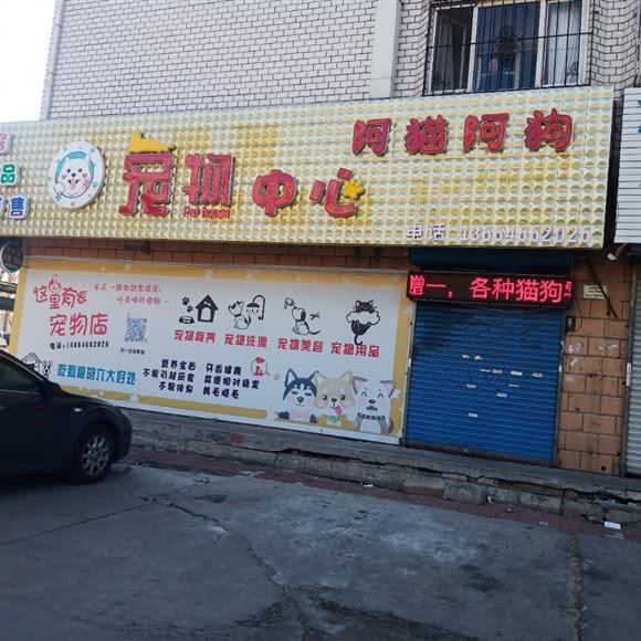 阿猫阿狗宠物中心:大庆市龙凤区龙凤区中心城区附近