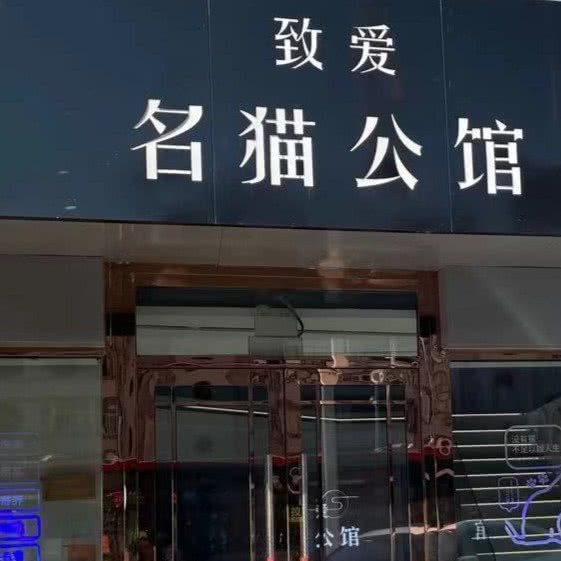 致爱名猫馆:大庆市龙凤区新玛特附近