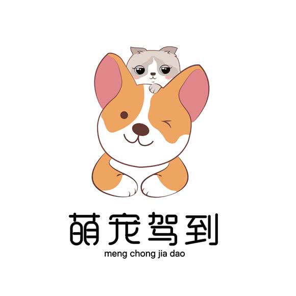 萌宠驾到:大庆市龙凤区新村十区餐饮一条街附近