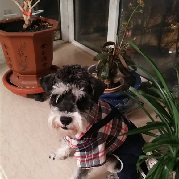 酷派特和宠物用品超市:大庆市龙凤区湖滨教师花园附近