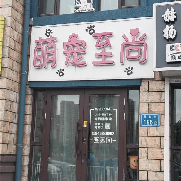 萌宠至尚:大庆市龙凤区开发区附近