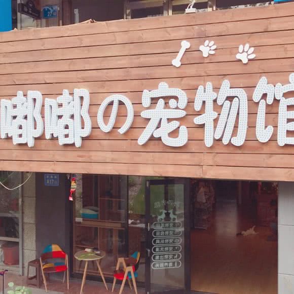 嘟嘟の宠物馆:大庆市龙凤区石油大学附近