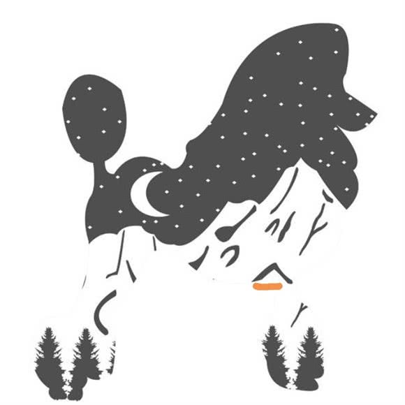 Q乐萌宠:大庆市让胡路区唐人中心附近