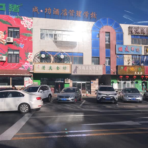 乐有道宠物诊所:大庆市让胡路区唐人中心附近