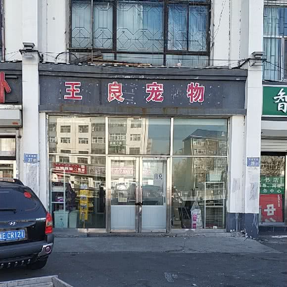 王良宠物:大庆市让胡路区新天问附近