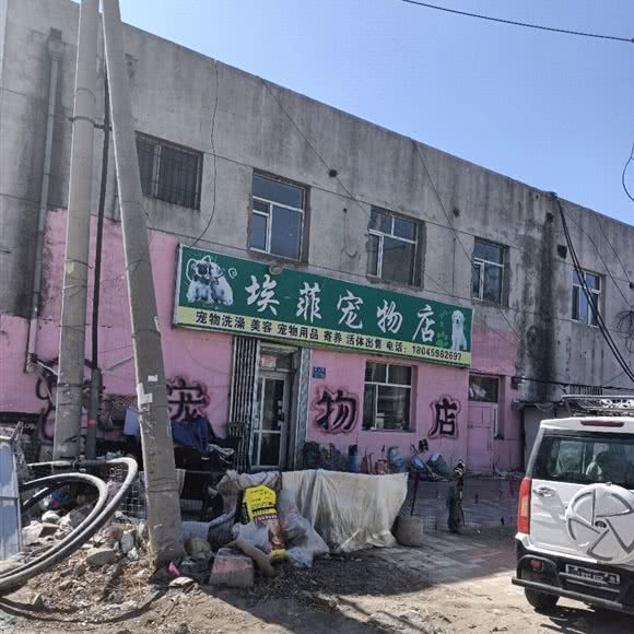 埃菲宠物店:大庆市让胡路区乘风庄附近