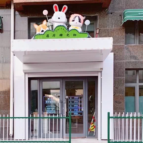 薄荷糖宠物:大庆市让胡路区阳光嘉城附近