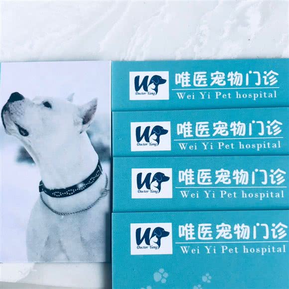唯医宠物门诊:大庆市让胡路区阳光嘉城附近