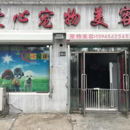 爱心宠物美容:大庆市让胡路区博奥附近